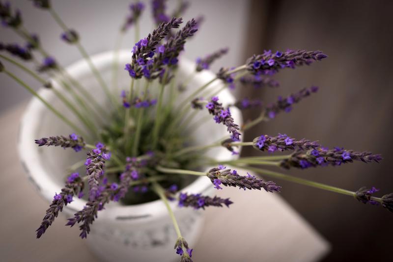 White Harmony Suites Megalohóri Kültér fotó